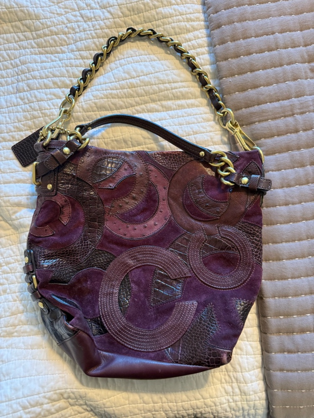 Coach Limited Edition Brooke Hobo bag in plum purple suede